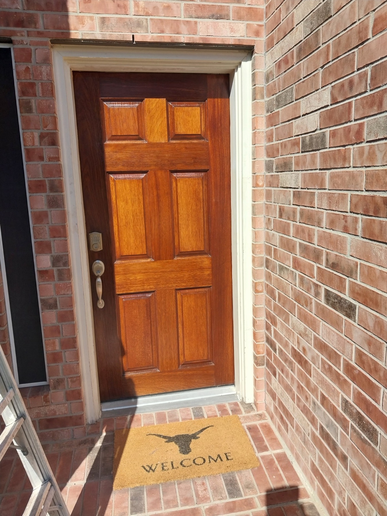 Front Door Wood Finish project photo in Houston Area, TX
